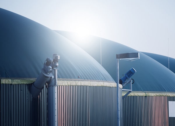 Biogas Purification System